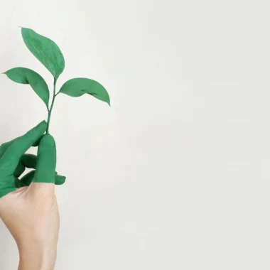 10 Tips for Creating a Sustainable Home