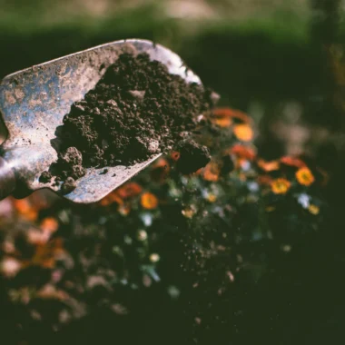 Why Eco-Friendly Gardening Products Benefit Your Garden and the Planet