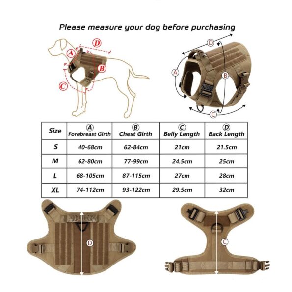 8534-e6a809.jpeg