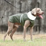 mainjacket