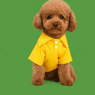 Pet Clothing